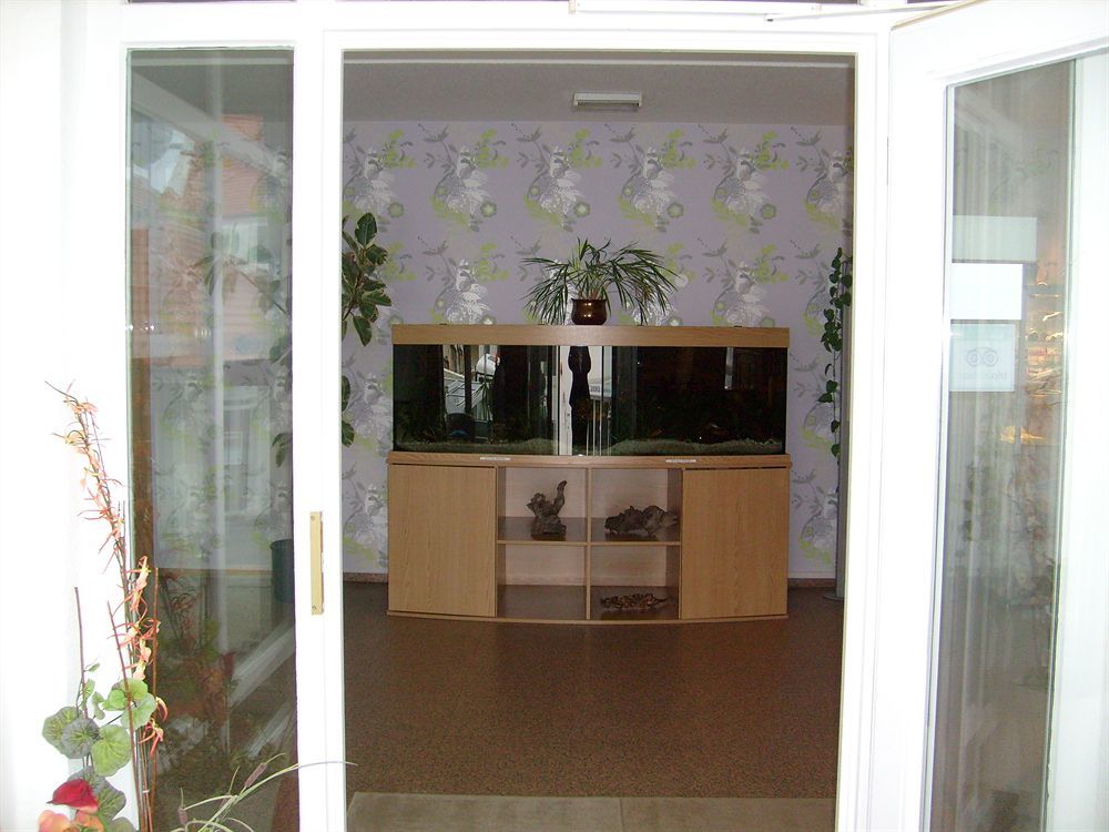 Villa Auszeit Hotel Garni Ostseebad Heringsdorf Exterior foto